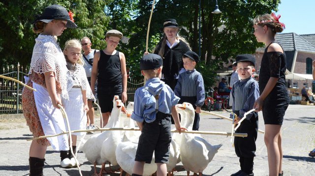 Ganzenmarkt (zondag  1 juli 2018)
